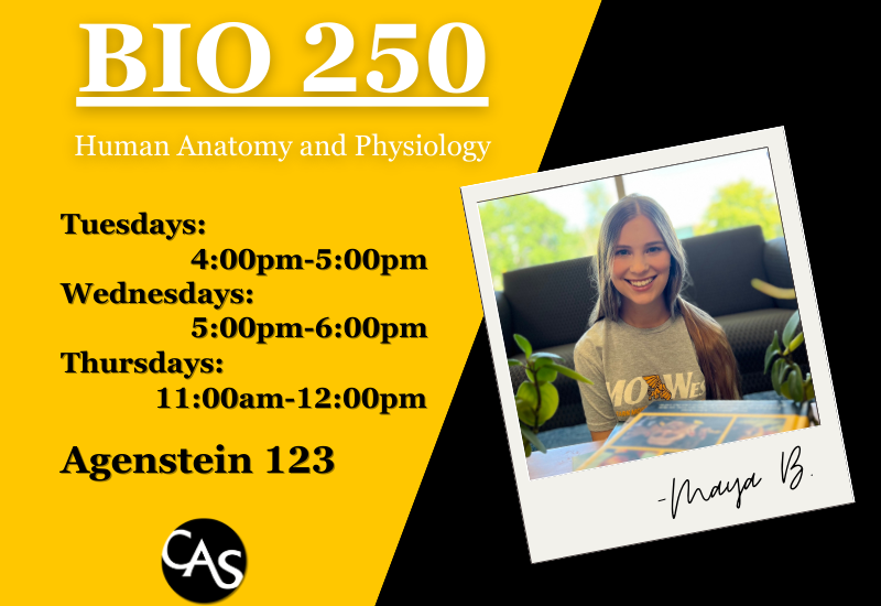 BIO250 SI-Maya B.
