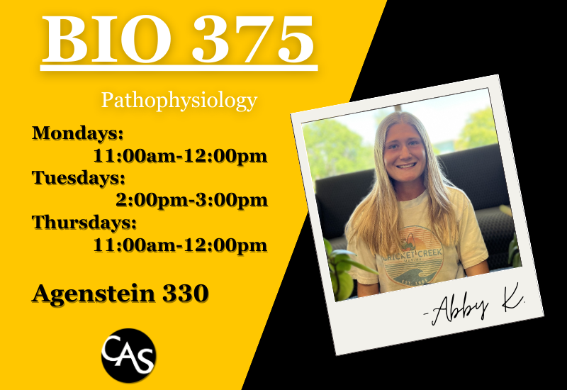 BIO375 SI-Abby K.