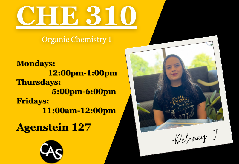 CHE310 SI-Delaney J.