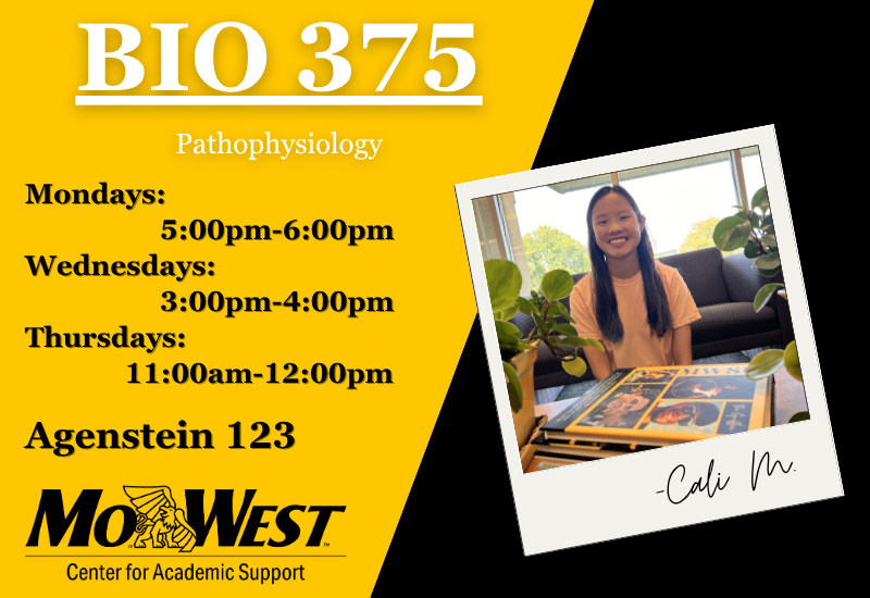 BIO375 SI Session Information See information below