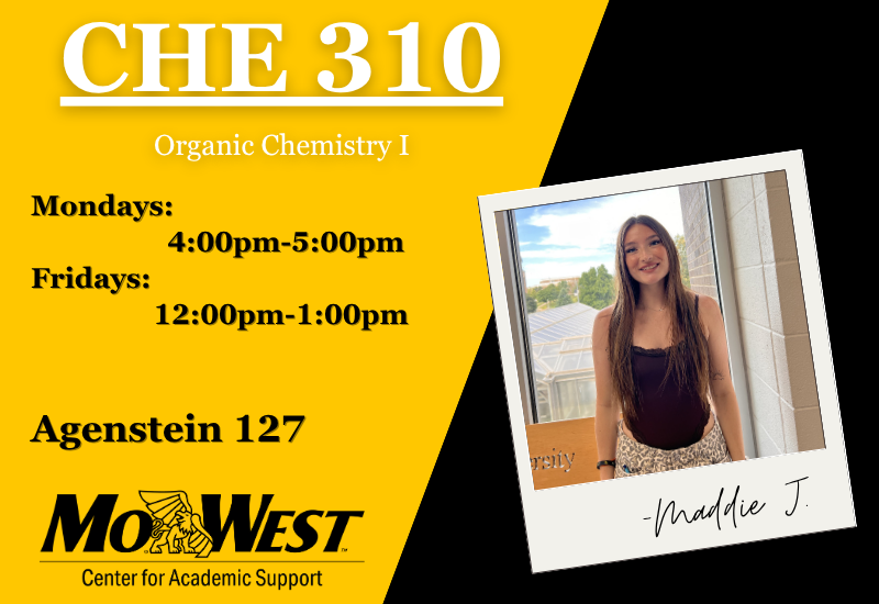 CHE310 SI Session Information